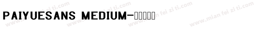 PaiYueSans Medium字体转换